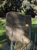image of grave number 660779